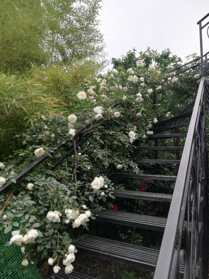 Holiday Home Сhiora Mtsʼkhetʼa Eksteriør bilde